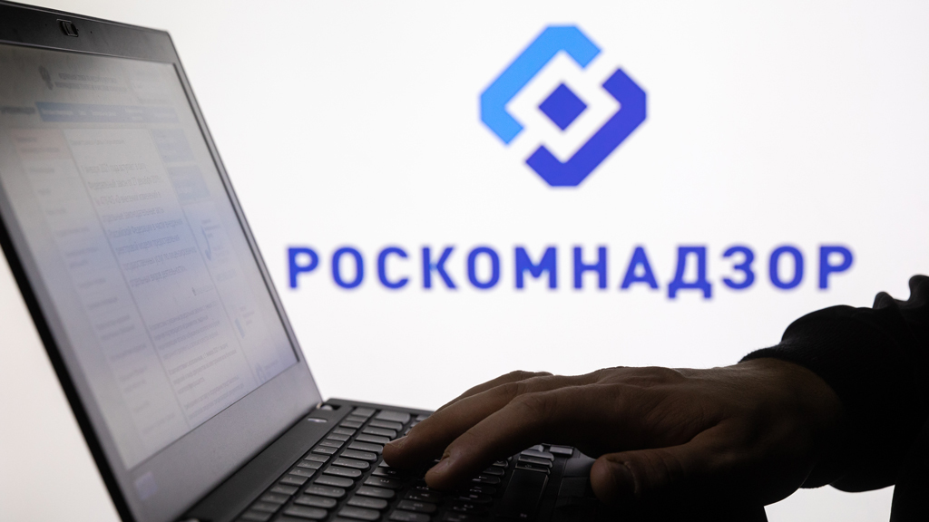 Регистрация в Роскомнадзоре через Госуслуги: инструкция для подачи уведомления об обработке персональных данных