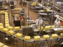 Реестр российской промышленной продукции: как проверить и внести товар